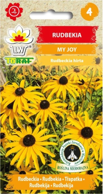 Rudbekia My Joy TORAF żółte kwiaty nasiona sklep rajogrodnika